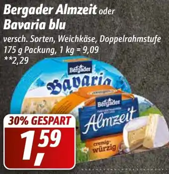 Simmel Bergader Almzeit oder Bavaria Blu 175 g Packung Angebot