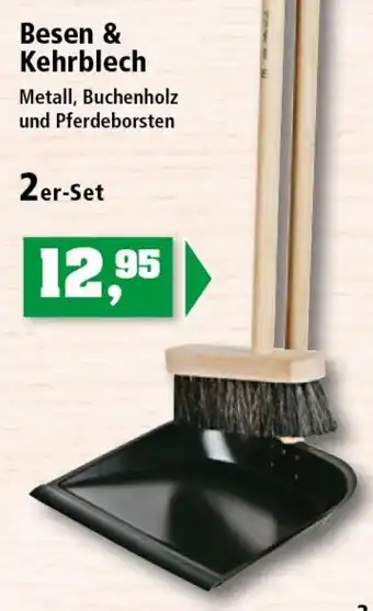 Thomas Philipps Besen & Kehrblech 2er Set Angebot