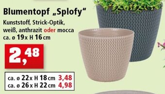 Thomas Philipps Blumentopf ,,Splofy" Angebot