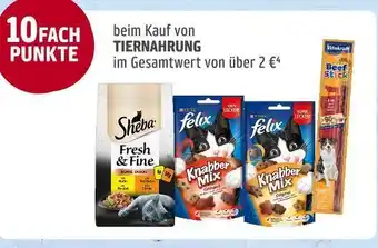 REWE Payback 10 fach punkte Angebot