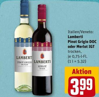 REWE Lamberti pinot grigio doc oder merlot igt Angebot