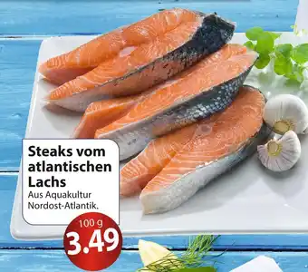 Famila Nord Ost Steaks vom atlantischen lachs Angebot