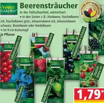 Norma Finest Garden Beerensträucher Angebot