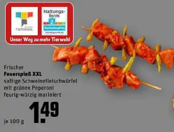 REWE Kaufpark Frischer Feuerspieß XXL 100 g Angebot