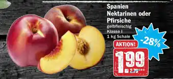 Hit Spanien Nektarinen oder Pfirsiche 1kg Angebot