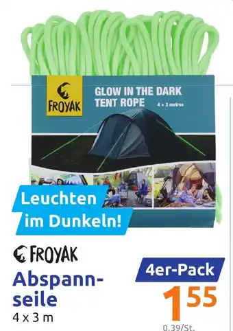 Action Froyak Abspannseile 4x3 m Angebot