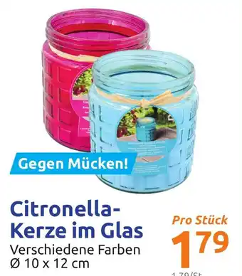 Action Citronella Kerze im Glas Angebot