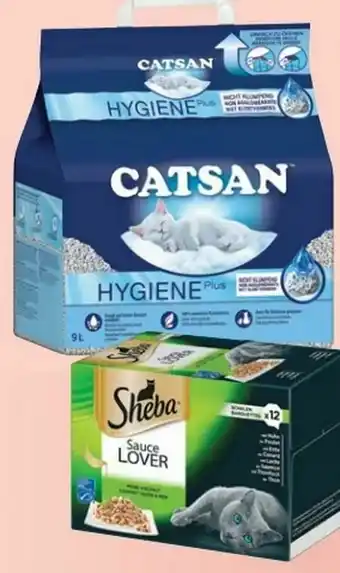 Rossmann Katzenstreu Angebot
