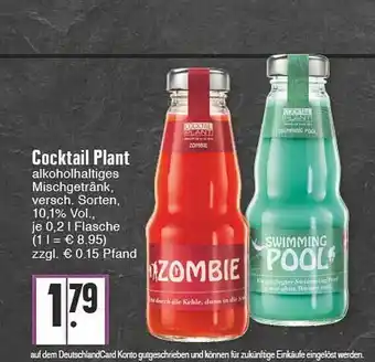 Edeka Cocktail Plant Angebot