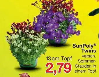 Jawoll Sunpoly Twins Angebot