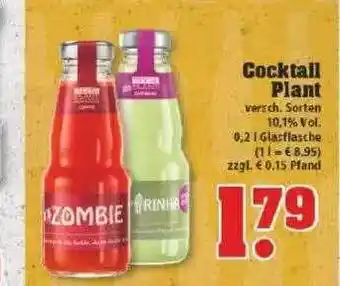 trinkgut Cocktail Plant Angebot