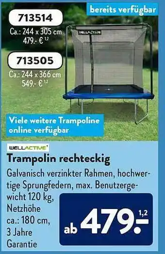 Aldi Süd Wellactive Trampolin Rechteckig Angebot