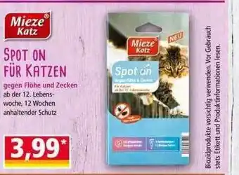 Norma Mieze Katz Spot On Für Katzen Angebot