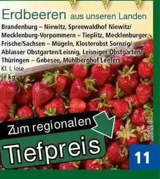 Norma Erdbeeren Angebot