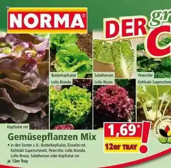 Norma Gemüsepflanzen Mix Angebot