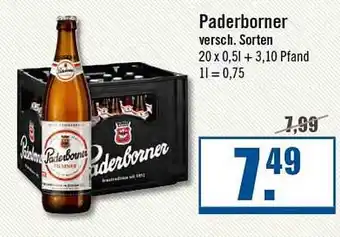 Zisch Paderborner Versch. Sorten Angebot