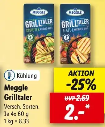 Lidl Meggle grilltaler Angebot