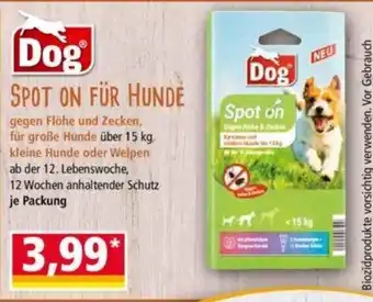 Norma Dog Spot On fur Hunde Angebot