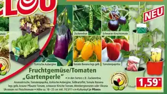 Norma Fruchtgemuse/Tomaten Gartenperle Angebot