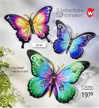 Weltbild Wanddeko „schmetterling“ Angebot