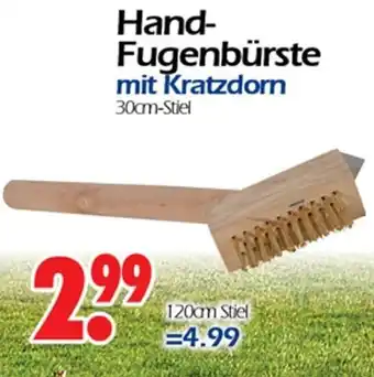 Wreesmann Hand Fugenbürste mit Kratzdorn 30 cm Stiel Angebot