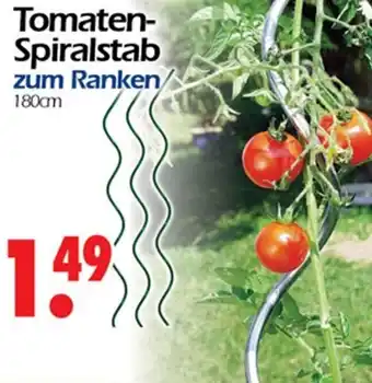 Wreesmann Tomaten Spiralstab zum Ranken 180 cm Angebot