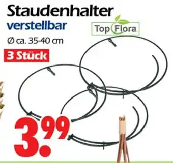 Wreesmann Staudenhalter verstellbar 3 Stück Angebot