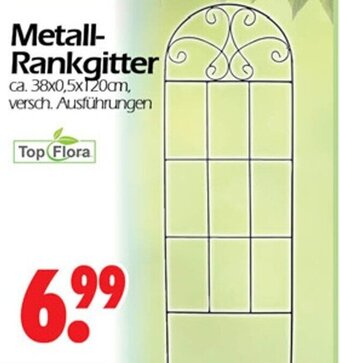 Wreesmann Metall Rankgitter Angebot