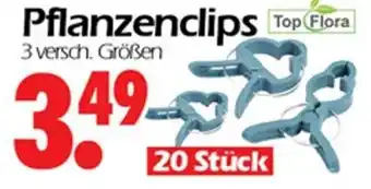Wreesmann Pflanzenclips 20 Stück Angebot
