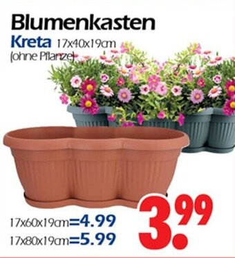 Wreesmann Blumenkasten Kreta Angebot