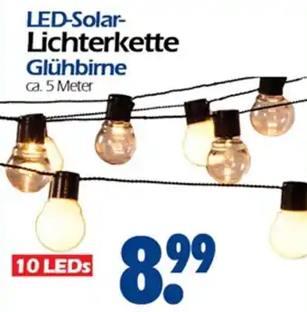 Wreesmann LED Solar Lichterkette Glühbirne 10 LEDs Angebot