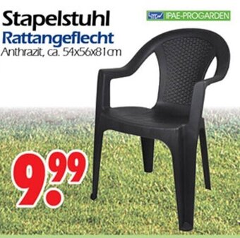 Wreesmann Stapelstuhl Rattangeflecht Angebot