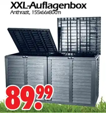 Wreesmann XXL Auflagenbox Angebot