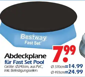 Wreesmann Bestway Abdeckplane für Fast Set Pool Angebot