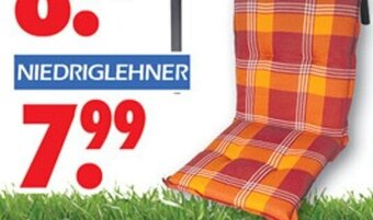 Wreesmann Niedriglehner Angebot