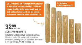 OBI Schilfrohrmatte Angebot