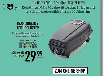 Kölle Zoo Oase Aquaoxy Teichbelüfter Angebot