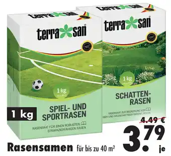 Mäc Geiz Rasensamen 1 kg Angebot