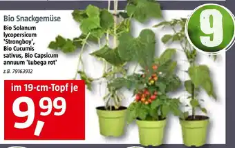 Bauhaus Bio snackgemüse Angebot