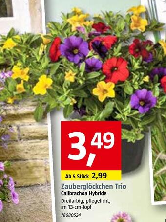 Bauhaus Zauberglöckchen trio Angebot