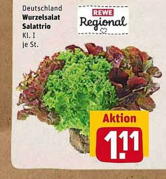 REWE Deutschland Wurzelsalat Salattrio Angebot