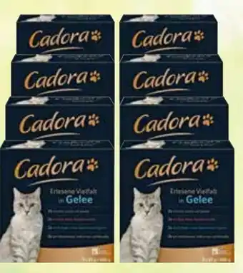 Netto Marken-Discount Katzennahrung Angebot