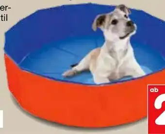 Netto Marken-Discount Hunde-Swimmingpool Outdoor-Dog Angebot