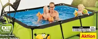 Netto Marken-Discount Frame Pool Angebot