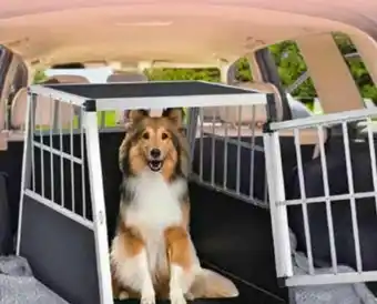 Netto Marken-Discount Alu-Hundetransportbox Angebot