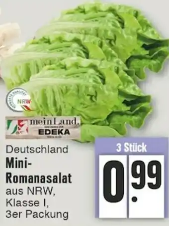 Edeka Deutschland Mini Romanasalat Angebot