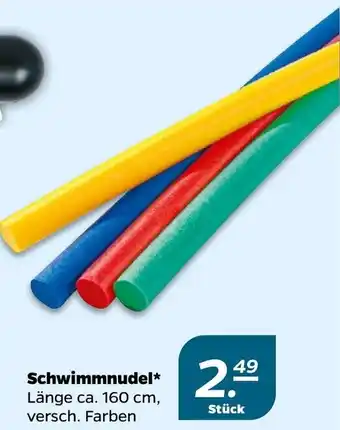 NETTO Schwimmnudel 160cm Angebot