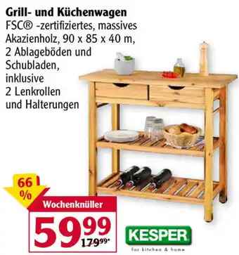 Globus Kesper Grill und Küchenwagen Angebot