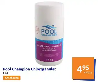 Action Pool Champion Chlorgranulat 1kg Angebot