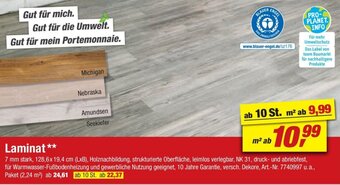toom Baumarkt Laminat Angebot